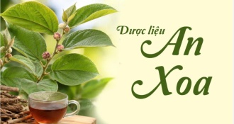 Công dụng và liều dùng từ dược liệu an xoa